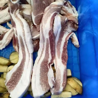 Machine à découper la viande fraîche congelée pour l'industrie agroalimentaire, adapté au bœuf, au porc, au poulet et au poisson