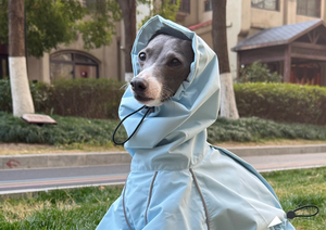 Personalizado nuevo sólido invierno moderno poliéster mantener caliente a prueba de viento impermeable al aire libre italiano <span class=keywords><strong>galgo</strong></span> mascota perro impermeable - Product Image 5