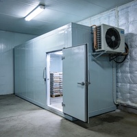 Conteneur de stockage frigorifique commercial 2025 à prix d'usine, congélateur rapide 20 pieds/40 pieds, unité de réfrigération