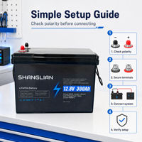 Batería de Almacenamiento de Energía Solar de Ciclo Profundo LiFePO4 Shanglian de 12.8V 300Ah con BMS, 3.84kWh, IP65 Impermeable, 4000 Ciclos