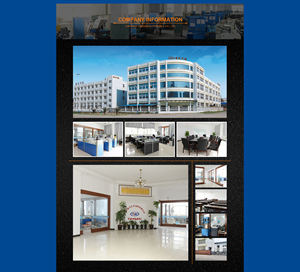 Ensemble complet de pièces de châssis de Offre Spéciale en gros d'usine comme l'extrémité de support L/R pour <span class=keywords><strong>Peugeot</strong></span> 408 14- OE:1612793880 - Product Image 4