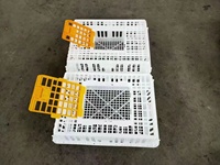 Cage de transfert en plastique pour petits oiseaux volailles vivantes caisse de transport pour poulet