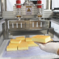 Machine automatique de découpe de gâteaux à ultrasons pour Sachima, flocons de neige, nougat et produits de boulangerie