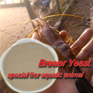 Autolisis de la levadura en polvo brewer levadura proteínas de alta calidad 60% levadura seca para la alimentación <span class=keywords><strong>animal</strong></span> - Product Image 5
