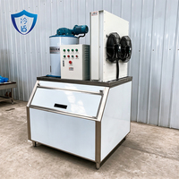 Machine à glace en flocons, machine à glace en flocons de neige, machine à glace granulaire pour la pêche, les fruits de mer, les restaurants, équipement de fabrication de glace en flocons