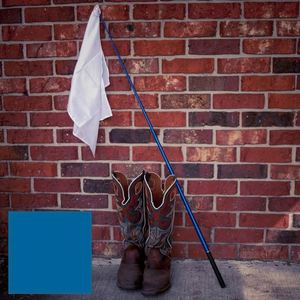 ธงผ้าพิมพ์ลายโลโก้แบบกำหนดเองได้ ผลิตภัณฑ์ใหม่สำหรับกีฬาปศุสัตว์ การฝึกม้า ธงนำเที่ยว - Product Image 5