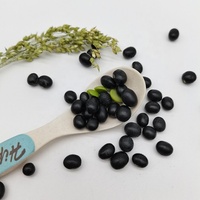 Soja noir cultivé naturellement noyau vert biologique certifié haricot noir haricot noir fournisseur