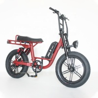 Vélo électrique de 20 pouces en alliage d'aluminium 750W avec double suspension arrière
