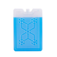 120ml 200ml 350ml 400ml 600ml 700ml 1000ml ml HDPE Boîte de glace réutilisable Brique de glace Pack de gel de refroidissement