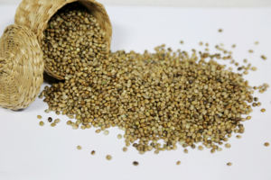 Hochwertige Hanf samen zum Verkauf zu erschwing lichen Preisen Ideal für gesundheits bewusste Verbraucher und Ernährungs vorteile - Product Image 4