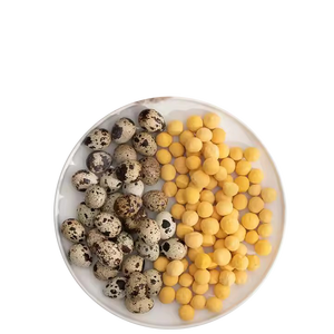 שליו פרימיום אבקת חלמון ביצה לאפייה בישול מזון מזון מזון יבש בהקפאה מזון מזון מיובש - Product Image 2