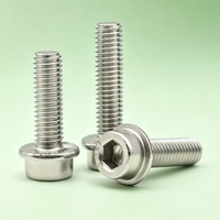 Tornillo de Cabeza Cilíndrica con Ranura Hexagonal Estándar DIN251, Acero Inoxidable 304, M5-M12, Fijación Industrial