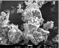 (CaCO3 50-80nm 99.9%) Nanopartículas de Carbonato de Calcio