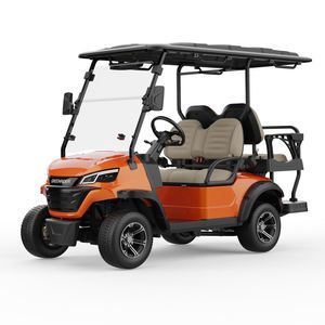 Voiturette de golf tout-terrain avec espace de rangement, véhicule multi-usages pour passagers, personnalisable avec logo pour le marketing - Product Image 6