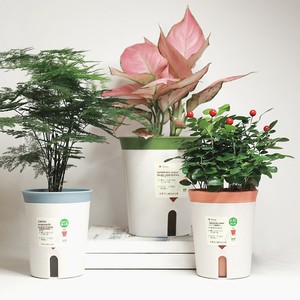 Pot de fleurs à arrosage automatique en résine plastique, grand, moyen, petit, rond, pour plantes d'intérieur, usage domestique - Product Image 1