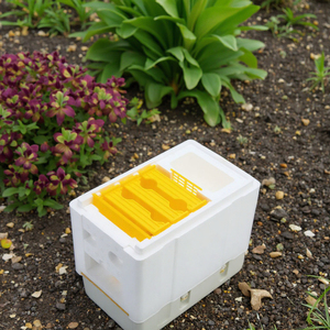 Ventes chaudes Boîte de reproduction de <span class=keywords><strong>reine</strong></span> d'<span class=keywords><strong>abeille</strong></span> à une couche Mini ruche de reproduction pour une apiculture efficace - Product Image 3