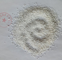 Granulés de perlite expansée, conditionneur de sol blanc pour matériaux de construction, horticulture, agriculture et applications hydroponiques