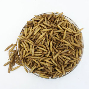 Alimento de larvas de alta proteína, larvas de mosca soldado negra secas, gusanos secos - Product Image 4