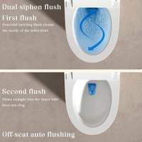 Vente en gros de toilettes intelligentes monobloc avec chasse automatique et bidet électrique pour la construction d'hôtels de luxe