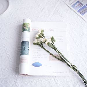 Myosotis alpestris ดอกไม้แห้งธรรมชาติที่เก็บรักษาไว้สำหรับตกแต่งงานแต่งงานข้าวและหญ้าคริสตัล - Product Image 3