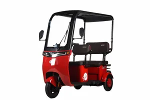 Venda quente 48V 20Ah Triciclo elétrico de aço carbono Scooter de 3 rodas 500W de potência com certificação CEE