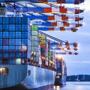 Морские перевозки из Китая в Гамбург/Роттердам, FBA, DDP, 20 дней, полный контейнер, специальные опасные грузы, еженедельный фиксированный отгрузочный курс - Product Image 6