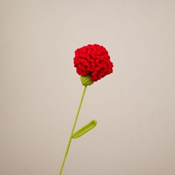 Oeillet rouge