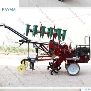 Semoir à légumes/tomates/poivrons/oignons à 4 rangs, machine à repiquer les <span class=keywords><strong>semis</strong></span> de légumes - Product Image 5
