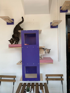 Tongkat cakar kucing pasang dinding tempat kucing pemanjat - Product Image 5