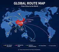 Chine Venezuela DDP Fret maritime Co-logistique Assistance 24h/24 et 7j/7 Service fiable Port de Shanghai/Ningbo