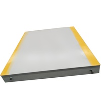 Báscula Digital para Camiones de Acero Inoxidable, Tipo Pequeño, 20 Toneladas, Plataforma de 2M*3M, Personalizable OEM/ODM, Garantía de 2 Años, Certificación CE ISO