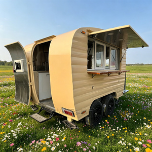 Camion de restauration mobile sur mesure avec grill Teppan, plateau plat unique - Product Image 4