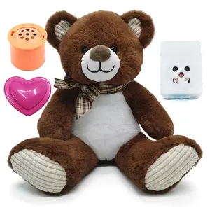 ของเล่นตุ๊กตาหมีเท็ดดี้แบร์,เครื่องเล่นเพลง Mp3ของเล่นตุ๊กตาหมีส่วนตัวปรับแต่งเสียงได้ตามต้องการ