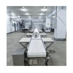 Gold Lieferant Schlachtungsausrüstung Packung Schweinefleisch Förderband Maschine für den Transport Die Säuge zur Bestimmung Ort Fleisch tiefverarbeitung