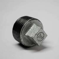 Raccord de tuyau en fonte malléable Bouchon à filetage mâle 3/4 "Bouchon de raccord de tuyau industriel NPT