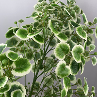 Usine en gros simulé géranium arbre plante verte décoration de bureau à domicile feuilles de plantes de haute qualité
