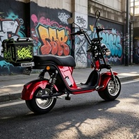 1000w 2000w 60v12AH/20AH/30AH Lityum Pil Şişman Lastikli Citycoco Bluetooth Telefon Tutucu NFC Elektrikli Scooterlar E-scooter Kutulu