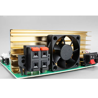 La carte d'amplificateur de puissance Audio numérique de caisson de basses haute puissance DX-2.1 canaux 2X100W peut être connectée au décodage BT