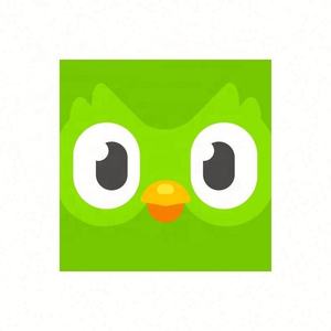 Cuenta Premium Duolingo Pro 1 Año, Activa Tu Propia Cuenta, Aplicable Globalmente en Todo el Mundo - Product Image 3
