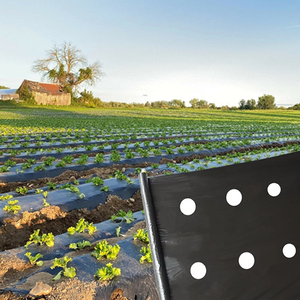 Hrp UV điều trị mạnh mẽ Shading đục nhựa <span class=keywords><strong>mulch</strong></span> phim không thấm nước PE thổi đúc che phủ mặt đất cho nông nghiệp - Product Image 1