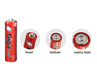 Piles AA Super Robustes au Carbone-Zinc, Résistantes aux Fuites, pour LED - Offre Spéciale
