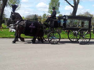 Cercueil funéraire tiré par des chevaux, transport spécial, vente directe d'usine, calèche funéraire tirée par des chevaux - Product Image 2