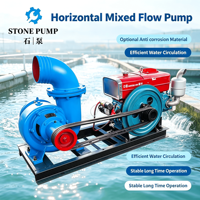 Pompe horizontale à flux mixte en fer pour la circulation de l'eau de mer en aquaculture, transfert d'eau pour bassins piscicoles, résistante à la corrosion, haute pression