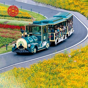 Parco divertimenti i <span class=keywords><strong>bambini</strong></span> giocano giochi trenino elettrico senza tracce 24 posti prezzo <span class=keywords><strong>treno</strong></span> elettrico senza binari - Product Image 6