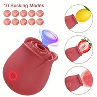 10 Saugmodi Klitoris-Stimulation G-Punkt Silikon USB Wiederaufladbarer Wasserdichter Saugvibrator