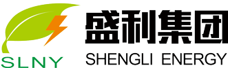 Guangdong Shengli Hi-Tech New Energy Technology Co., Ltd. logo