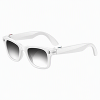 Lunettes caméra intelligentes IA 1080P HD avec traduction en temps réel, reconnaissance d'objets et commande vocale