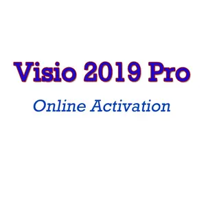 Genuine Visio 2019 Professional License 100% Online Activation Visio 2019 Pro Digital Key Code Send By Ali Chat