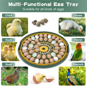 Incubadora automática de huevos 52Egg <span class=keywords><strong>Mini</strong></span> Incubadora de huevos Incubadora de doble potencia para pollos Aves de Corral Pato Máquina para incubar huevos - Product Image 3