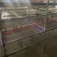 Cage à poulets de chair directe d'usine Assurance qualité Systèmes manuels ou automatisés Cage à animaux polyvalente